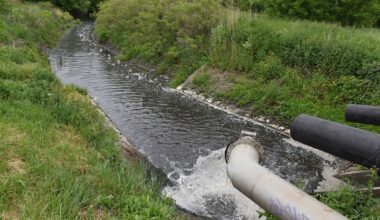 valóban igaznak bizonyultak a Zagyva szennyezésével kapcsolatos hírek – Szol24
