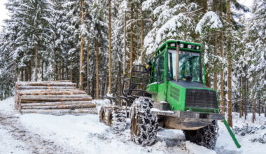Lesy ČR awards 40 contracts in Czech Republic