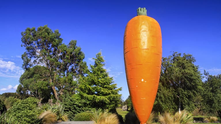 The Ohakune carrot started life as a prop for a bank commercial but has now become a drawcard for the Ruapehu tourist sector.