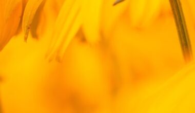 Federal Reserve Governor Waller Introduces “Skinny” Master Account Concept and Signals Support for Payments Innovation | Insights