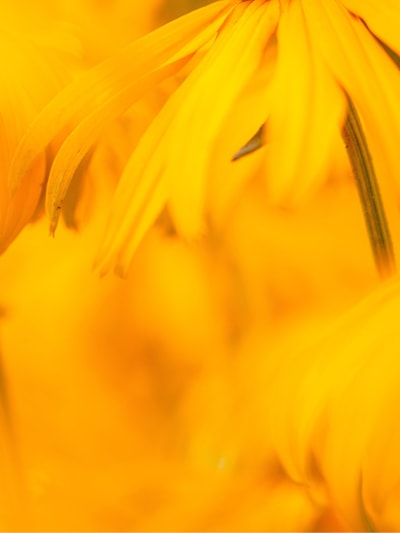 Federal Reserve Governor Waller Introduces “Skinny” Master Account Concept and Signals Support for Payments Innovation | Insights