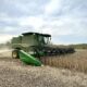 A green combine harvester is harvesting a field of crops under a cloudy sky, with dust trailing behind the machine.
