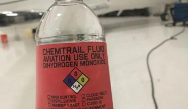 Sdielajte kim nesmazu aneb prauda zvytazi