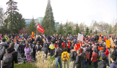 Hundreds of protesters at UBC confront OneBC leader Dallas Brodie - BC