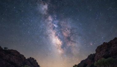 New Zealand And Australia Are Offering The Ultimate Travel Escape From Tech You Won’t Believe What’s Waiting For You