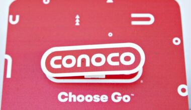 ConocoPhillips Alaska Oil Surveys to Begin While Groups Litigate