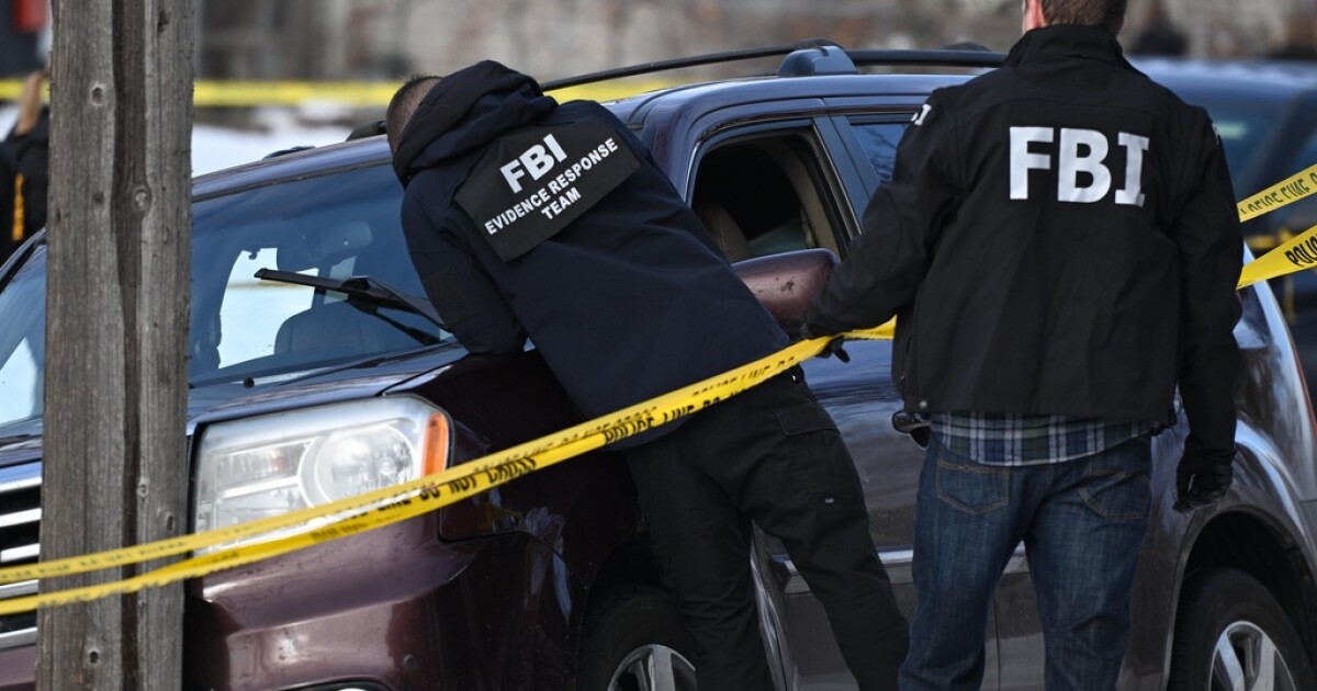 ICE agent shoots and kills woman during Minneapolis immigration crackdown