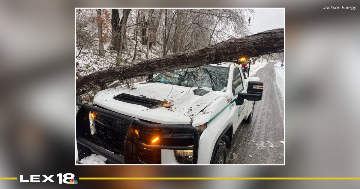Tree falls on Jackson Energy utility truck due to winter weather conditions