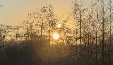 How Everglades Jetport environmental battle spurred Earth Day, new laws