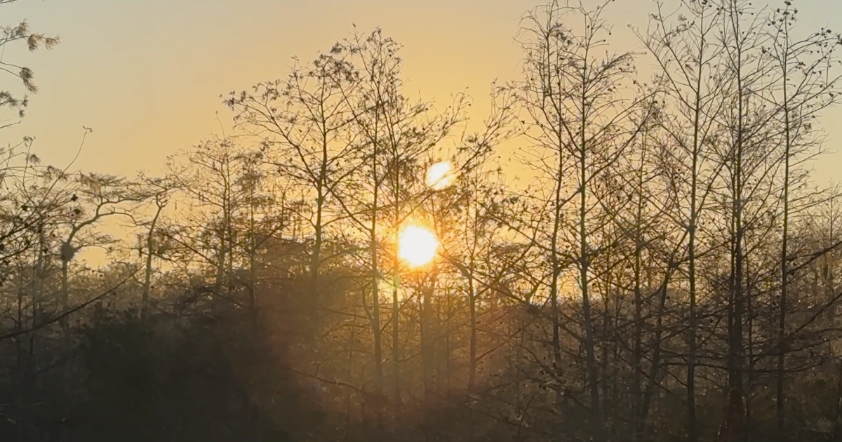 How Everglades Jetport environmental battle spurred Earth Day, new laws