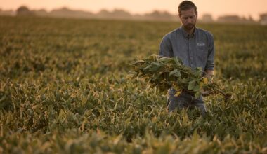 Farmers are hurting. Trump's trade war is making it worse : NPR