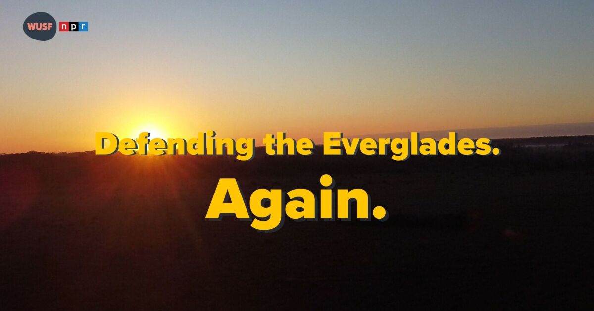 'Alligator Alcatraz' awoke a decades-old environmental fight