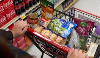 New state committee begins work to develop nutrition guidelines, education requirements for Texans