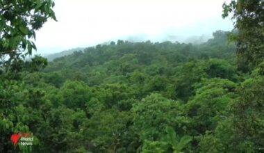 Nationwide heatwave prompts bushfire warnings across the country