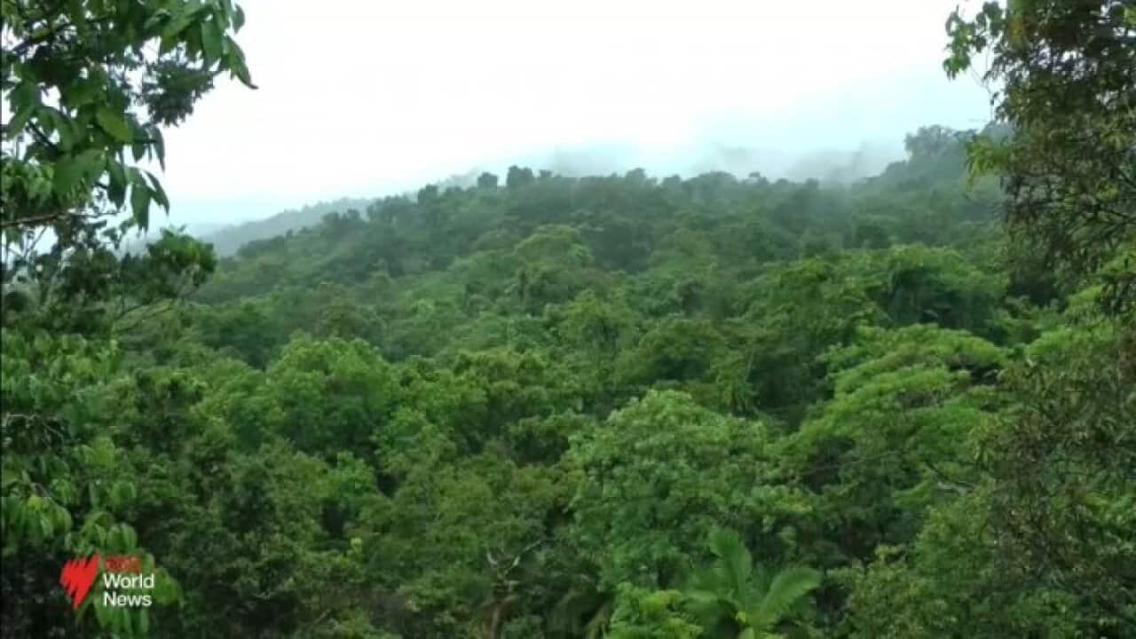 Nationwide heatwave prompts bushfire warnings across the country