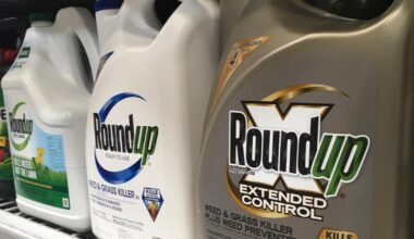 Supreme Court may block thousands of lawsuits over Monsanto's weed killer