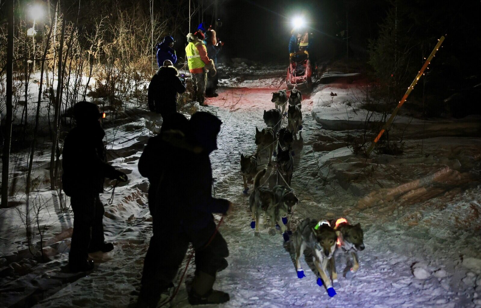 Live: McClelland arrives first at Beargrease's Finland checkpoint - Duluth News Tribune