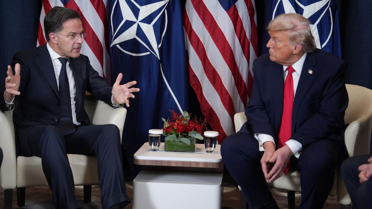 Nato-Chef Rutte macht sich vor Trump klein? Nur so funktioniert Realpolitik 2026