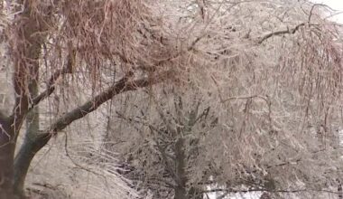 Texas winter weather: Austin Energy prepared for upcoming arctic blast