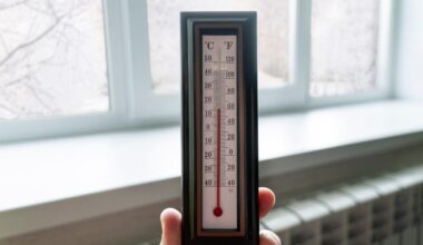 Vreme extrem de rece, ger și precipitații mixte în România până pe 20 ianuarie