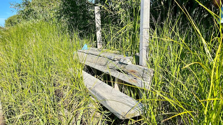Ward also found this makeshift bench near the stand he uses.