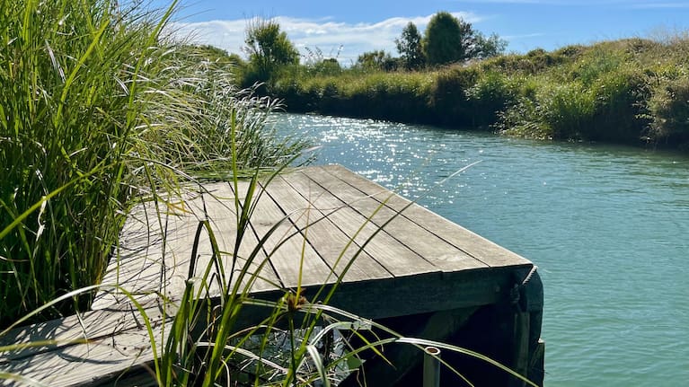 Ward’s favoured whitebait stand is thought to be 40 years old. Its owner is unknown.
