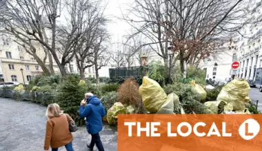 6 essential articles for life in France