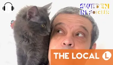 ‘I love Sweden but the anti-immigrant rhetoric must stop’