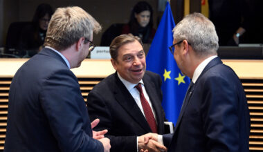 EU-Latin America trade deal: Who wins? | Business and Economy