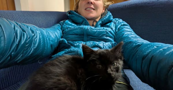 Little black kitten hitches a ride with Te Araroa tramper