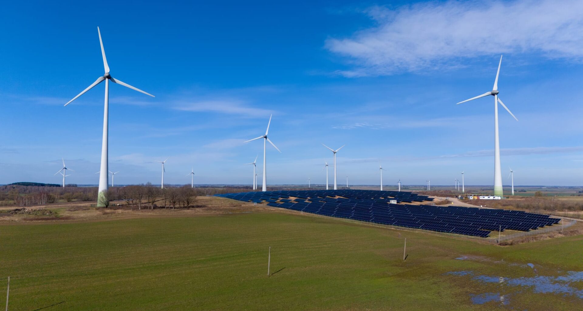 Happy green 2026 from regulators