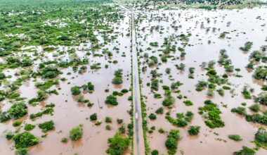 Climate change worsened rains, floods which killed dozens in southern Africa: Study