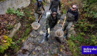 Rybári na Slovensku musia platiť nový poplatok. Vysvetľujeme, o čo ide