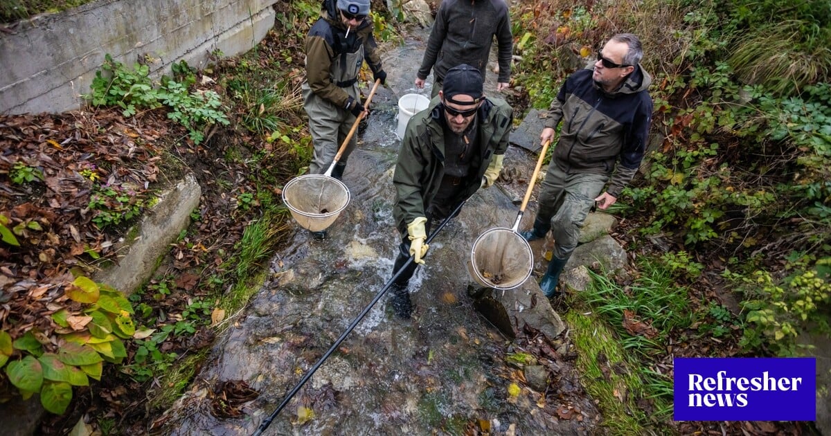 Rybári na Slovensku musia platiť nový poplatok. Vysvetľujeme, o čo ide