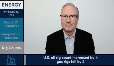 WTI Crude Oil futures stabilized following session reversal.