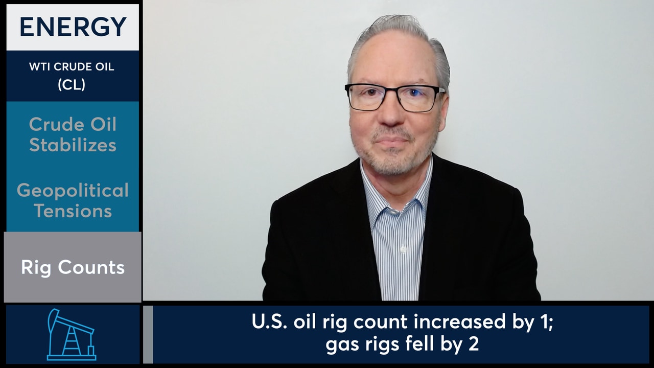 WTI Crude Oil futures stabilized following session reversal.