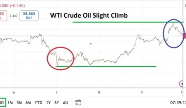 Crude Oil Weekly Forecast 11/1: Upwards in Progress? (Chart)