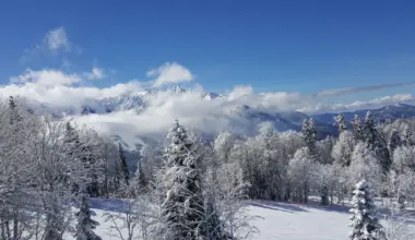 Arktyczny atak zimy uderzy we wtorek. Mróz do -30°C i potężne śnieżyce sparaliżują Polskę. Prognoza na styczeń 2026