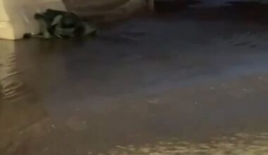 Χανιά: Ξεχείλισαν φρεάτια στη Νέα Χώρα – Μέχρι τη θάλασσα έφτασαν τα λύματα