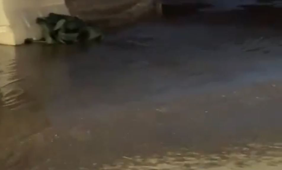 Χανιά: Ξεχείλισαν φρεάτια στη Νέα Χώρα – Μέχρι τη θάλασσα έφτασαν τα λύματα