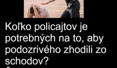 Prečo máme v našej krajine iba tie vtipy o policajtoch, ktorí robia z policajtov neškodných, nevinných a hlúpych ľudí? Tu je pár vtipov o policajtoch ktoré dávajú väčší zmysel...