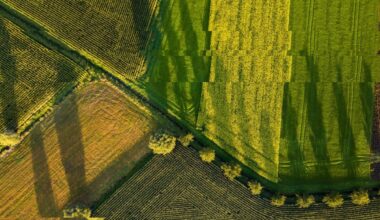 Mexico Leads Latin America in AgriFood Tech Investment