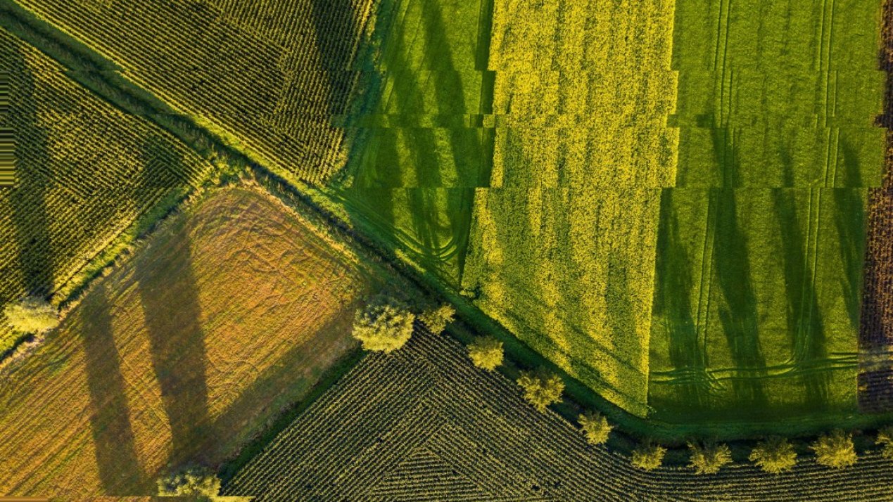 Mexico Leads Latin America in AgriFood Tech Investment