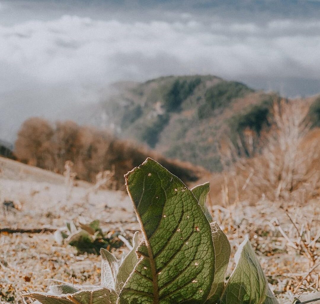 Днес малко снимки от Беклемето.
