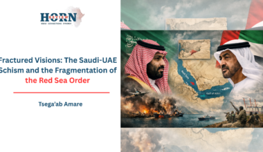 The Saudi-UAE Schism and the Fragmentation of the Red Sea Order – HORN REVIEW