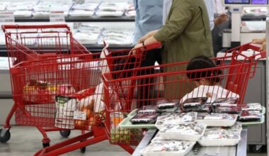 Consumer Prices Up 2.0% in January...Inflation Slows as Petroleum Prices Stabilize (Update)