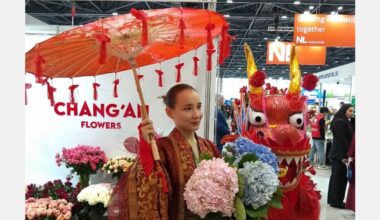 Connecting markets across Eastern Europe and Central Asia