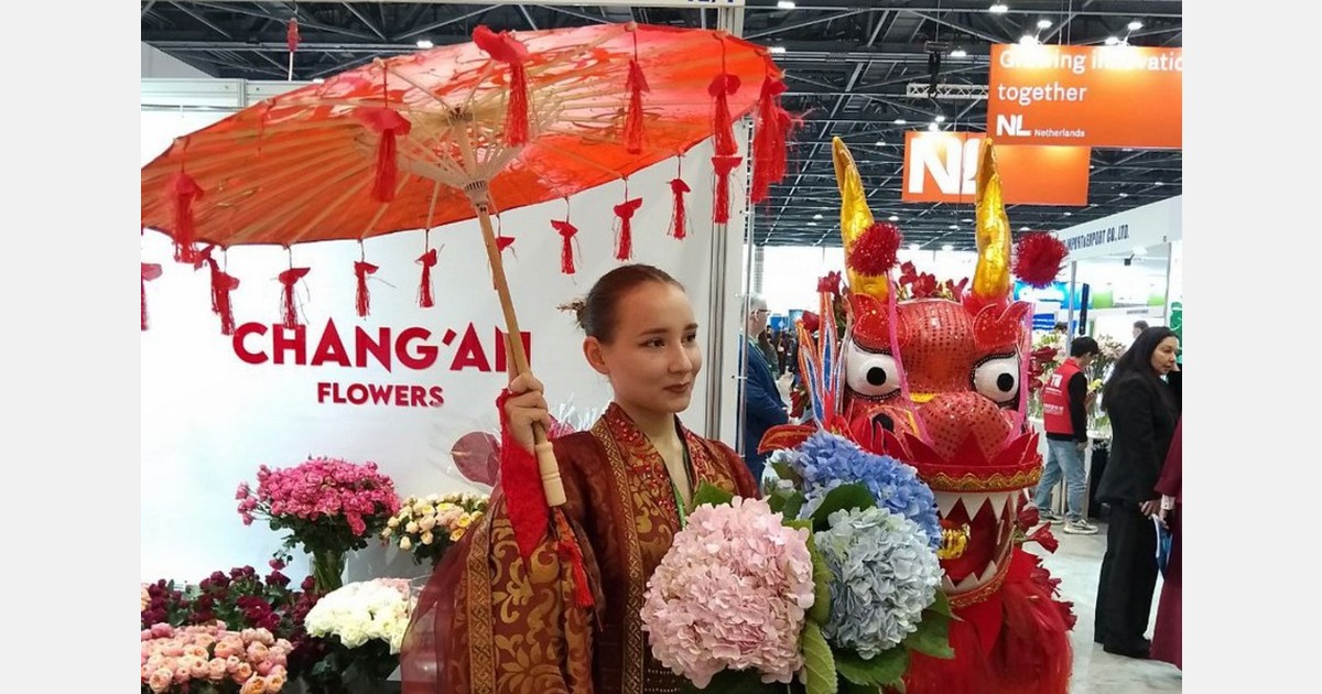 Connecting markets across Eastern Europe and Central Asia