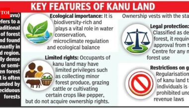 In boost for environment, KAT rules grant of kanu land illegal | Bengaluru News