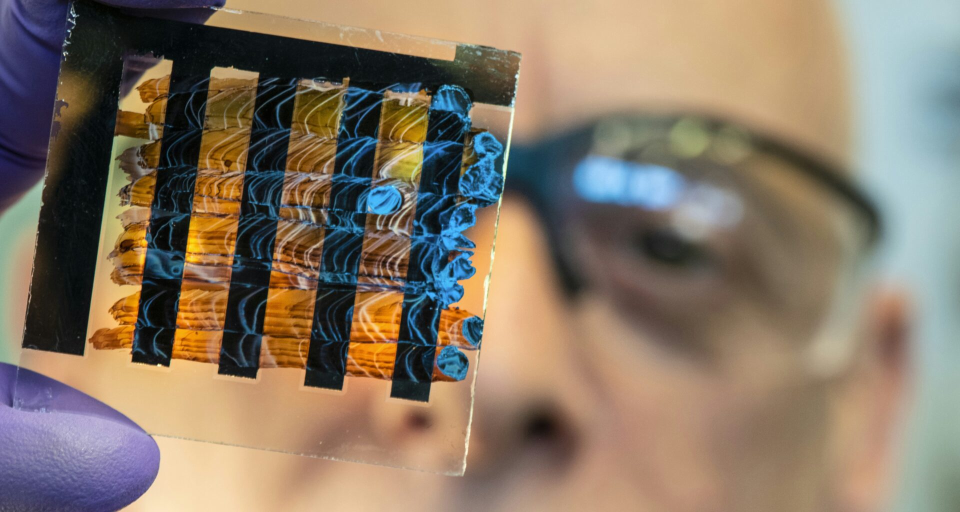 Gut Bacteria Sense Environment, Crucial for Health